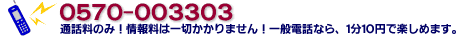 Vポータル